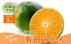 【先行予約】ご家庭用青切り有田みかん　約3kg+200g(傷み補償分) ※着日指定不可 ※北海道・沖縄・離島は配送不可 【2026年9月中旬～10月上旬頃に順次発送予定】【ard145B】