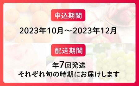 【全7回】糸島厳選くだもの定期便 約5人前 フルーツ 果物 糸島市 / やますえ あまおう シャインマスカット 桃 ライチ [AKA073]