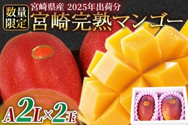 予約受付！数量限定！【2025年発送】＜宮崎県産 完熟マンゴー A等級 2Lサイズ×2玉（合計約700g）＞2025年4月下旬～6月末迄に順次出荷【b0477_ja】