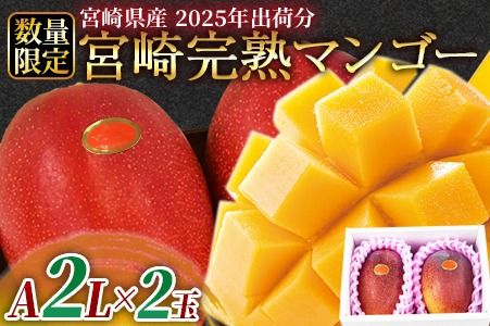 数量限定！【2025年発送】＜宮崎県産 完熟マンゴー A等級 2Lサイズ×2玉（合計約700g）＞2025年4月下旬～6月末迄に順次出荷【b0477_ja】