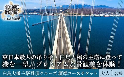 白鳥大橋主塔登頂クルーズ 標準コースチケット 大人1名様 MROX007