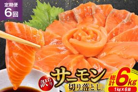 6回 定期便 訳あり サーモン 切り落とし おさしみ用 125gx8p×6回 合計6kg [足利本店 宮城県 気仙沼市 20564708] 魚介 鮭 さけ サケ お刺し身 刺し身 刺身 生食 個包装 小分け カット済み 銀鮭 チリ銀鮭