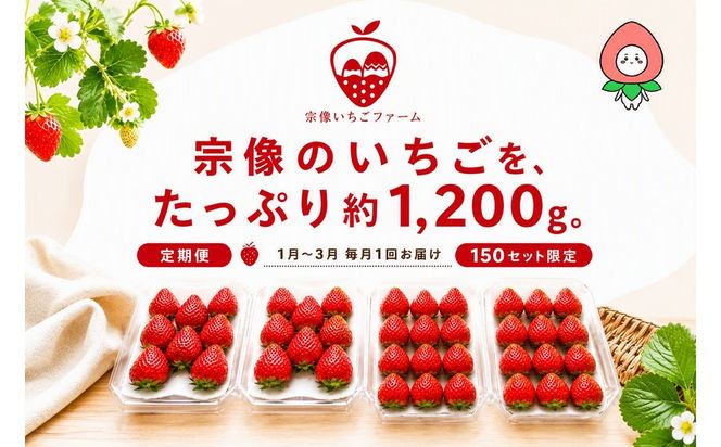 【先行予約】【2027年1月より順次発送】【3ヶ月毎月お届け】人気のいちご 2品種食べ比べ定期便【宗像いちごファーム】_HB0214 苺 イチゴ あまおう おいCベリー 福岡県宗像市 宗像市 福岡 宗像