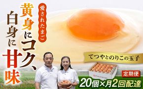 《月2回 × 20個 1ヶ月コース》 卵 てつやとのりこの玉子 全2回定期便 糸島市 / 板垣ファーム [AWD011]
