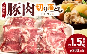 宮崎県産 豚肉 切り落とし N0217-YA3399