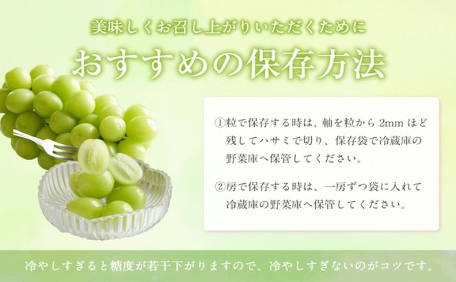 フルーツ 定期便 【2026年 先行予約】 晴れの国 おかやま の 白桃 2kg(5玉～7玉) シャインマスカット 4房(合計2.8kg以上) 岡山県産 国産 セット ギフト