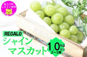 【2025年発送分 先行予約】頬張る幸福感　～緑の宝石・ シャインマスカット ～ １ｋｇ以上（２～３房） フルーツ 山梨県産 果物 くだもの シャイン マスカット ぶどう ブドウ 葡萄 大粒 種なし 先行予約 富士川町 10000円 一万円