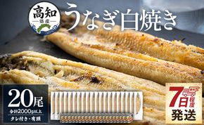 【7日程度で発送】うなぎ 白焼き 2kg以上 20尾×100～130g - 蒲焼き タレ付き 国産 鰻 ウナギ 有頭 背開き つまみ ご飯のお供 老舗 土佐湾 早い スピード発送 7日程度 早く届く スピード配送 吉川水産 高知県 香南市 冷凍 yw-0083