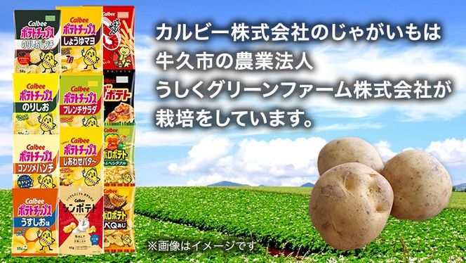 カルビー 湖池屋 人気 24種 詰め合わせ お楽しみ スナック菓子 セット カルビー 湖池屋 ポテトチップス ポテチ お菓子 おかし 大量 スナック おつまみ ジャガイモ じゃがいも まとめ買い Calbee ポテト おまかせ 数量限定 [DA006us]