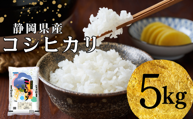 米 静岡コシヒカリ 5kg コシヒカリ お米 白米 コメ 静岡県産