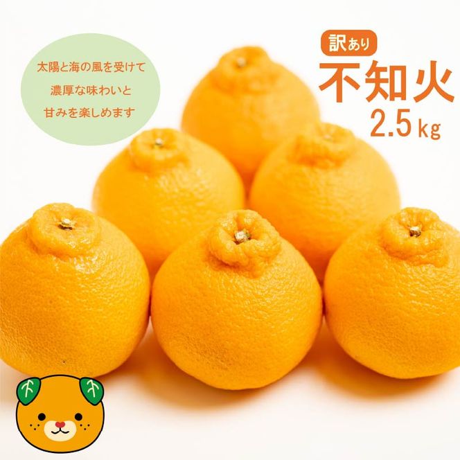 【先行予約】訳あり 不知火 2.5kg 減農薬 サイズミックス 不揃い 愛南フルーツ 発送時期：2027年3月下旬～なくなり次第終了