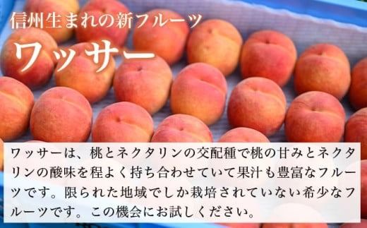 ワッサー 約3kg 7～12玉 ［おぶせファーマーズ］果物 フルーツ クール便 冷蔵便 長野県産 信州産 令和7年産【2025年8月上旬〜下旬発送】［F-39］