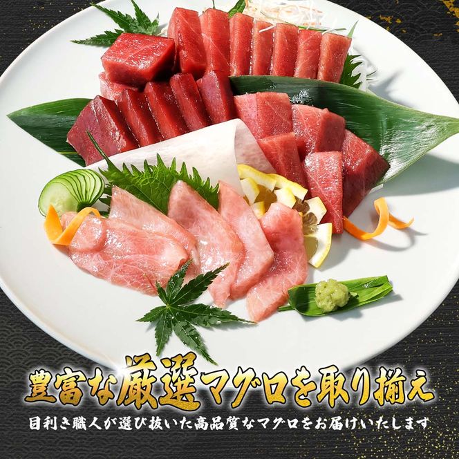本マグロ 本鮪 大トロ500g トロ マグロ まぐろ 本まぐろ 刺身 刺し身 魚 天然 冷凍 美味しい おいしい 故郷納税 ふるさとのうぜい 返礼品 高知県 高知【株式会社大熊】 [BQAA035]