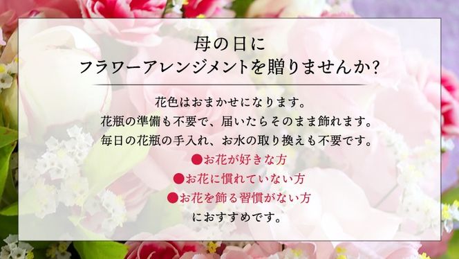【 母の日 】 フラワー アレンジメント L 花色おまかせ ギフト プレゼント 花 お祝い 贈答 記念日 インテリア [CT087ci01]