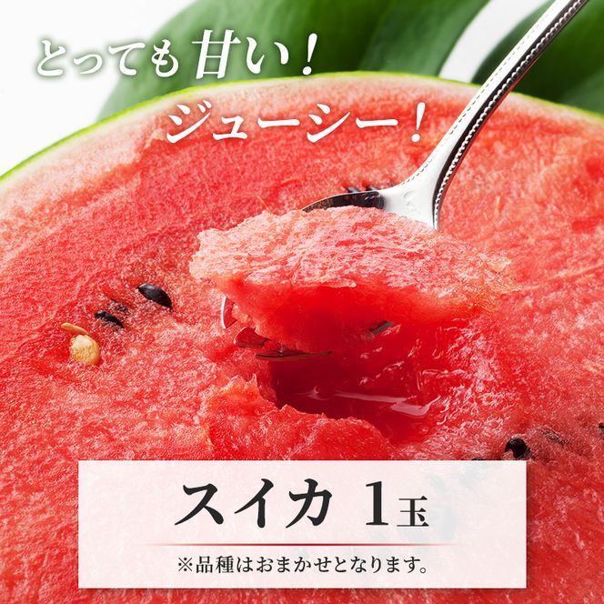 先行 予約 青森 メロン スイカ 各1玉 減農薬栽培 夏の味覚 減農薬 青肉 赤肉 青肉メロン 赤肉メロン フルーツ 果物 旬のフルーツ 旬の果物 旬 夏 レビュー 高評価 先行予約 2026 2026年 青森県