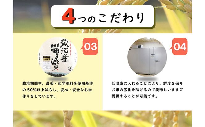 魚沼産川西こしひかり5kg×5 