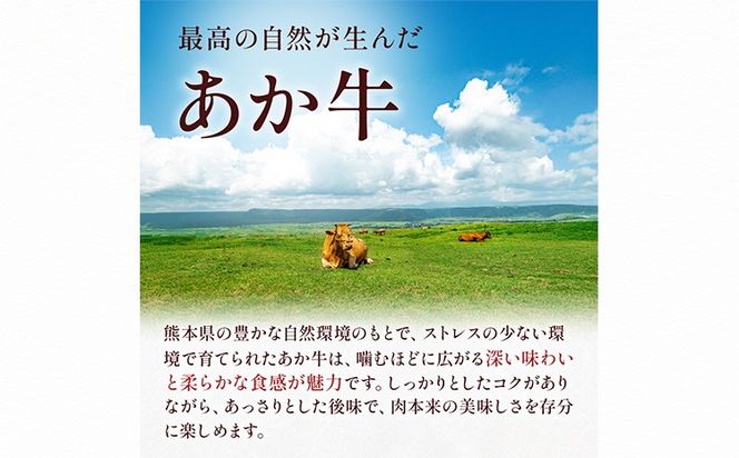 熊本県産 GI認証取得 くまもとあか牛 すき焼き用 切り落とし 600g くまふる《45日以内に出荷予定(土日祝除く)》熊本県 長洲町 肉 牛肉 あか牛 赤牛 焼肉 切り落とし 熊本県産 国産---sn_fkmskyk_26_45d_17500_600g---