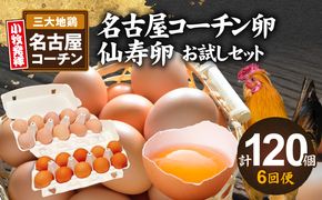 【6回便】名古屋コーチン卵・仙寿卵お試しセット（各10個入り）×6回（計各60個） [006K04-T]