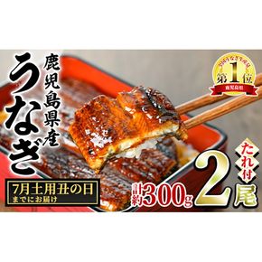 【0124314a-2507】＜7月土用丑の日までにお届け＞東串良町のうなぎ蒲焼(無頭)(2尾・計約300g・タレ、山椒付)うなぎ 高級 ウナギ 鰻 丑の日 国産 蒲焼 蒲焼き たれ 鹿児島 ふるさと 人気【アクアおおすみ】