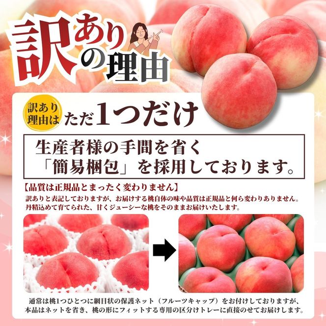 【2027年出荷分 先行予約】訳あり 朝もぎ直送!『山梨県産　桃』約１３～１８玉 約5kg規格箱入り 専用トレーを使用した簡易梱包 【高機能共選機使用】選び抜かれた山梨の桃《もも 先行予約》山梨県産　モモ/ フルーツ 果物 くだもの 人気 産地直送/厳選  贈答 贈り物【tab0250】