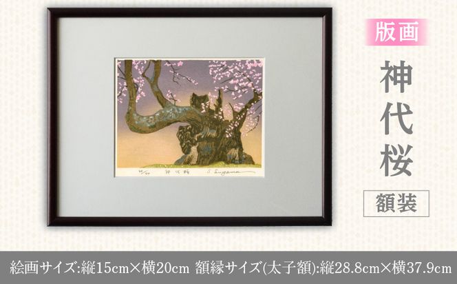 版画「神代桜」 ［201M08］ 版画 神代桜 桜 特別天然記念物 日本三大桜 額装 絵画 木版画家 陶山俊一 小牧市在住 日本 自然 風景 モチーフ 遠近感 質感 木版画 アート アート作品 インテリア 壁掛け 絵 美術品 工芸品 風景画 自然画 愛知県 小牧市 送料無料