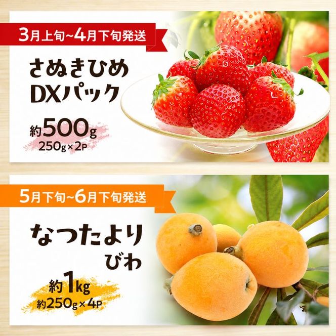 讃岐のフルーツ8回定期便【A】【香緑キウイ】【デコポン】【さぬきひめ苺】【なつたより(びわ)】【さぬきの桃】【さぬきゴールドキウイ】【さぬきキウイっこ】【小原紅早生みかん】