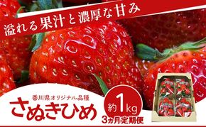香川讃岐の毎月食べたい定期「さぬきひめいちご 1kg」3ヶ月定期便