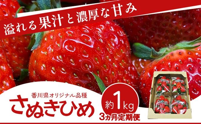 香川讃岐の毎月食べたい定期「さぬきひめいちご 1kg」3ヶ月定期便