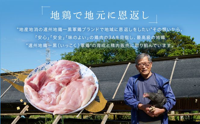遠州地鶏一黒シャモ使用！こだわりの焼き鳥串10本×3袋セット総量　約900g　地鶏 軍鶏 しゃも 冷凍 送料無料 もも むね 生肉 美味しい ヘルシー お取り寄せ 贅沢 記念日 お中元 お歳暮 自宅用 家庭用 国産 222232_BB007