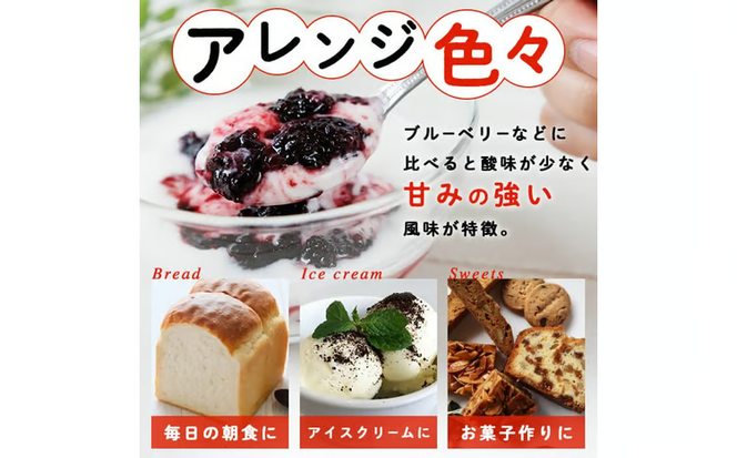 桑の実ジャム(3個) フルーツ 果物 ジャム セット マルベリー 大分県産 特産品 大分県 佐伯市 国産 朝食 桑の実 瓶詰 防災 常温 常温保存【BN01】【番匠商工会女性部直川支部】