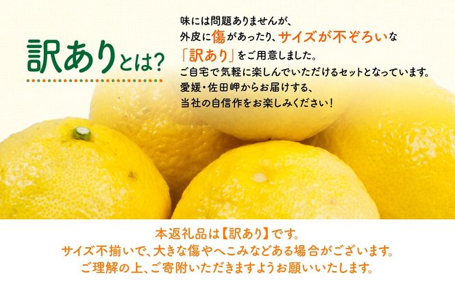 【先行予約】【訳あり】はるか5kg（2027年1月下旬より順次発送） IKTF037