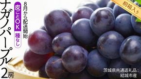 【 桐箱入り 】 ナガノパープル 2房 【2026年8月から発送開始】（茨城県共通返礼品 [ぶどう]：結城市産） 果物 フルーツ マスカット ぶどう ギフト 贈答 プレゼント 桐箱 [BI339-NT]