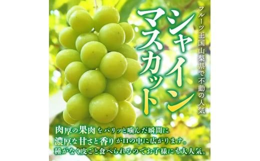 【2026年発送】ジューシーで甘さ抜群 シャインマスカットと黒ぶどうセット(1kg以上) マスカット ぶどう 果物 フルーツ 旬 高級 2026年 山梨 富士吉田