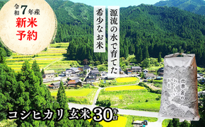 《令和7年産新米予約・10月ごろよりお届け開始》玄米 30kg 令和7年産 コシヒカリ 岡山 「おおがや米」生産組合 G-ad-AECA