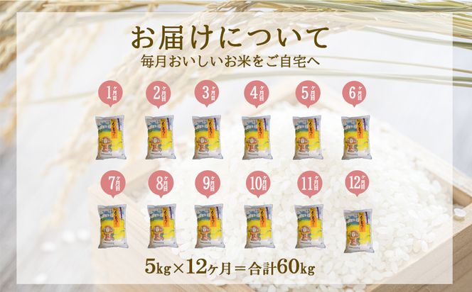【年間定期便】えびの産 ひのひかり 5kg×12ヶ月 合計 60kg 米 定期便 お米 おにぎり お弁当 TKG ヒノヒカリ 九州 宮崎県 特選米 冷めても美味しい 送料無料