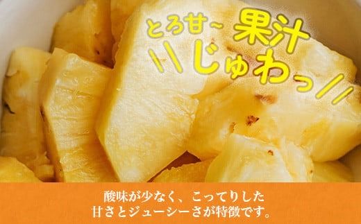 《2025年6月上旬頃より順次発送》[予約受付]　當銘さんの完熟カットパイン1.25kg(250g×5袋)　 YK-4