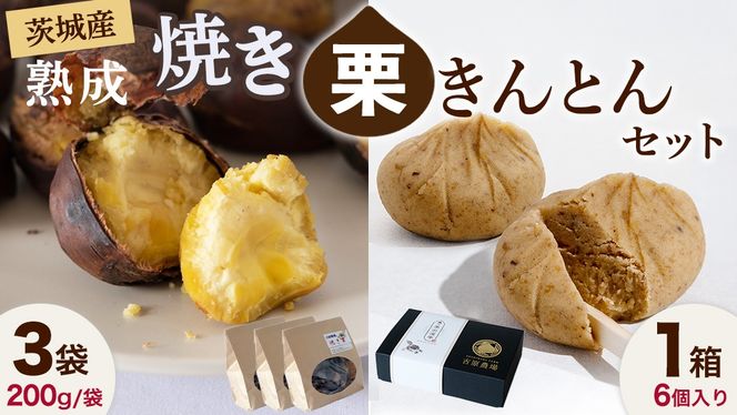 【 吉原農場 の 完熟栗 】 熟成 焼き栗 3袋・栗きんとん 1箱 セット 令和7年産 栗の深雫 完熟  くり クリ 栗ごはん おかし お菓子 果物 フルーツ 数量限定 旬 秋 冬 正月 おせち [CX025ci]