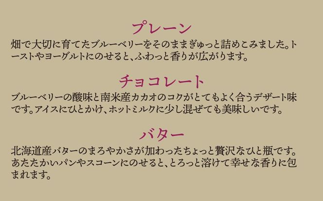 N-2 《数量限定》地元洋菓子店が地産ブルーベリーで作るスペシャルなジャム 3種セット