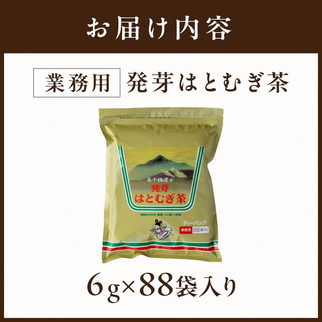 発芽はとむぎ茶 業務用《 ハトムギ茶 国産 はと麦茶 お茶 国産