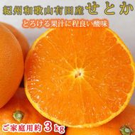 紀州有田産せとか 約3kg ［ご家庭用］とろける食感！ジューシー柑橘［2026年2月下旬以降発送］［先行予約］［UT133w］ AN059