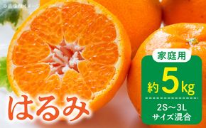 DZ6228_【2027年先行予約】家庭用 訳あり はるみ 和歌山 有田 2S～3Lサイズ混合 約5kg