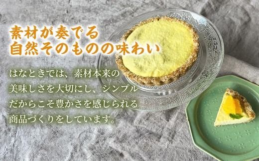 【 美しい層が織りなす上質な味わい 】 ゼブラケーキ 1ホール ケーキ けーき スイーツ ロースイーツ お菓子 おかし 菓子 洋菓子 ゼブラ模様 カシューナッツ カシューナッツクリーム カカオバター 贈り物 プレゼント ギフト 冷凍