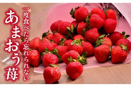 【先行予約】糸島産【冬】 あまおう 2パック 【2024年12月上旬以降順次発送】 《糸島》【南国フルーツ株式会社】