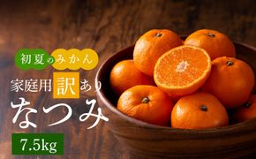 G7073_初夏のみかん なつみ 7.5kg【家庭用 訳あり】【ミカン 蜜柑 柑橘 和歌山 有田 南津海】