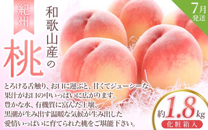 フルーツ 定期便 【全3回】＼フルーツ大国和歌山からお届け／  旬のフルーツ 定期便（いちご・桃・ピオーネ）【tkb401】