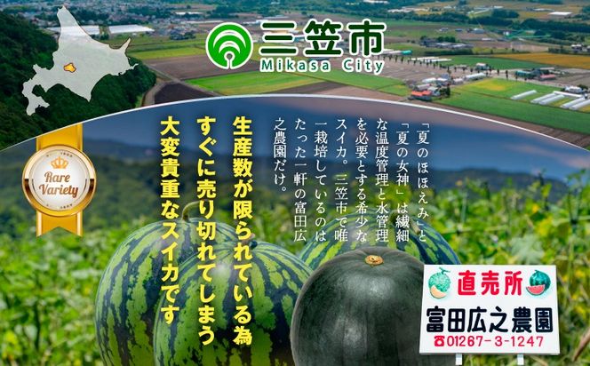 《2026年分受付中》スイカ2種(夏のほほえみ・夏の女神)食べ比べセット【01148】