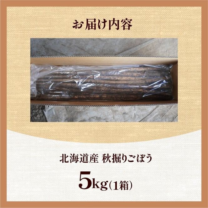 先行受付！2026年10月頃～発送開始！北海道十勝清水町産 秋堀り 新鮮 ごぼう！ 5kg 北海道産 ごぼう 土付ごぼう ゴボウ 根菜_S045-0003