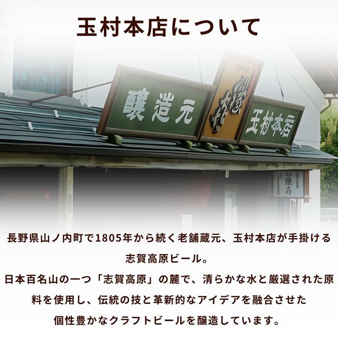 父の日 定期便 3ヶ月 志賀高原ビール12本セット 【 クラフトビール 志賀高原ビール 飲み比べセット 玉村本店 ビール 詰め合わせ セット 地ビール 飲み比べ 黒ビール IPA ipa ペールエール 酒 お酒 長野 定期 お楽しみ 3回 】