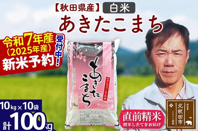 ※令和7年産 新米予約※秋田県産 あきたこまち 100kg【白米】(10kg袋)【1回のみお届け】2025年産 お米 みそらファーム|msrf-11701