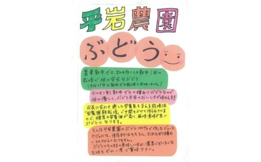 幸田町産ぶどう使用100％ジュース 2種詰め合わせ （720ml × 2本） ｜ 無添加 無糖 無加水 巨峰 ベリーA 甲斐路 デラウェア 送料無料
